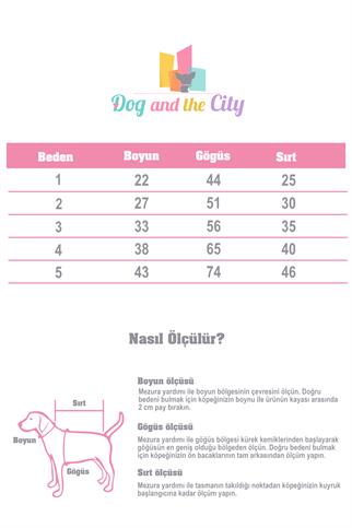 Apac.co Basic Kırmızı Triko Köpek Kazağı