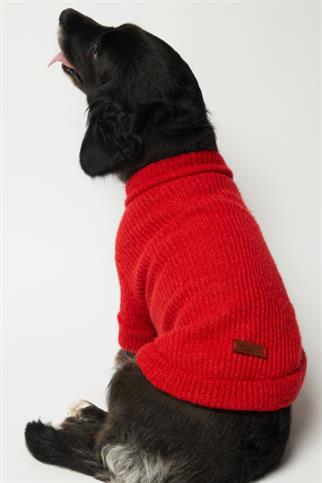 Apac.co Basic Kırmızı Triko Köpek Kazağı