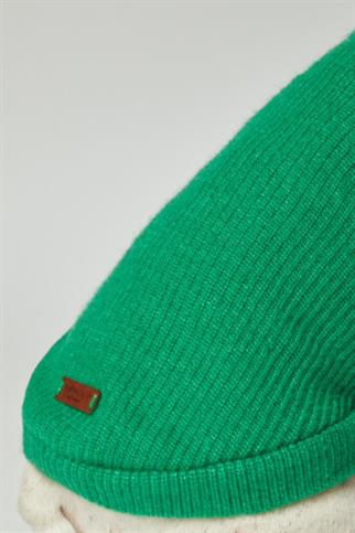 Apac.co Basic Yeşil Triko Köpek Kazağı