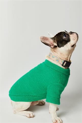 Apac.co Basic Yeşil Triko Köpek Kazağı