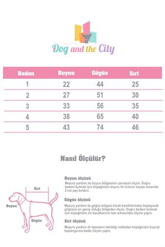 Apac.co Basic Yeşil Triko Köpek Kazağı