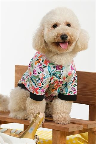 Apac.co Hollie Hawaii Bomber