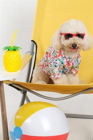 Apac.co Hollie Hawaii Gömlek