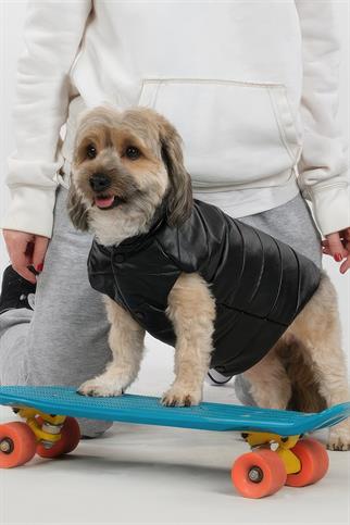 Apac.co Jacky Deri Kapitone Köpek Mont