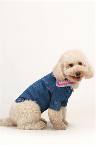 Apac.co Rompy Denim Köpek Ceket