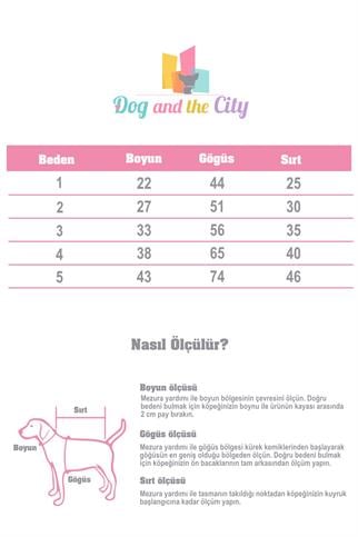 Apac.co Rompy Denim Köpek Ceket