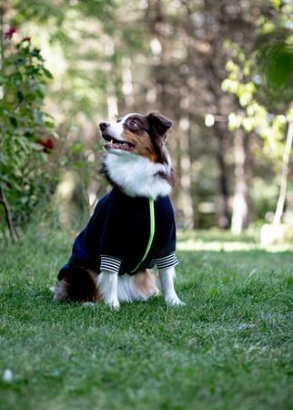 Asky and Erd Bomber Jacket | Midnight Blue Köpek Ceketi