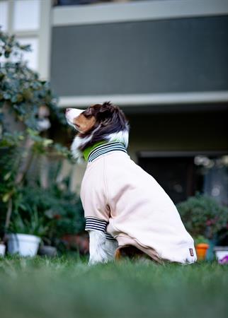 Asky and Erd Bomber Jacket | Vanilla Köpek Ceketi