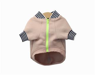 Asky and Erd Bomber Jacket | Vanilla Köpek Ceketi