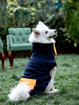 Asky and Erd Brooklyn Sweatshirt | Midnight Blue Köpek Sweatshirti