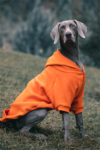 Asky and Erd COZY HOODIE | TANGERINE