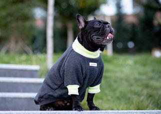Asky and Erd Manhattan Sweatshirt | Graphite Köpek Sweatshirt
