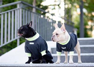 Asky and Erd Manhattan Sweatshirt | Graphite Köpek Sweatshirt