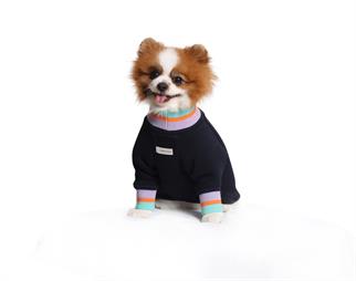 Asky and Erd Manhattan Sweatshirt | Yankees Blue Köpek Sweatshirt