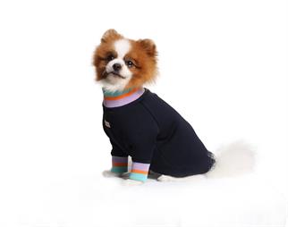 Asky and Erd Manhattan Sweatshirt | Yankees Blue Köpek Sweatshirt