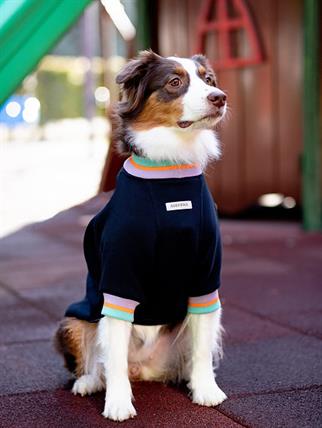 Asky and Erd Manhattan Sweatshirt | Yankees Blue Köpek Sweatshirt