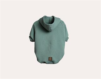 Asky and Erd Soho Hoodie | Ocean Green Köpek Sweatshirti