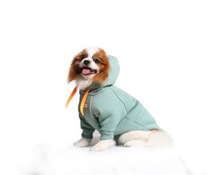 Asky and Erd Soho Hoodie | Ocean Green Köpek Sweatshirti