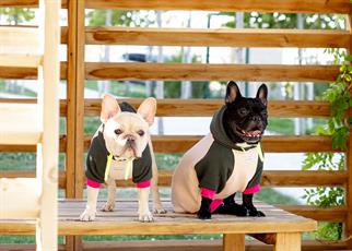 Asky and Erd Soho Hoodie | Vanilla&Khaki Köpek Sweatshirti