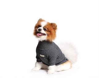 Asky and Erd Turtleneck Tshirt | Graphite Köpek Sweatshirt