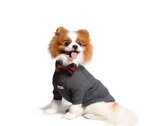 Asky and Erd Turtleneck Tshirt | Graphite Köpek Sweatshirt