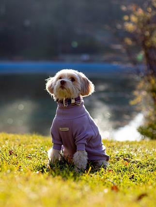 Asky and Erd Turtleneck Tshirt | Lavender Köpek Sweatshirt