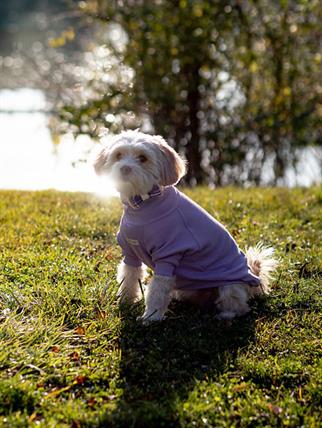 Asky and Erd Turtleneck Tshirt | Lavender Köpek Sweatshirt
