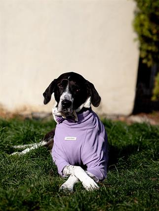 Asky and Erd Turtleneck Tshirt | Lavender Köpek Sweatshirt