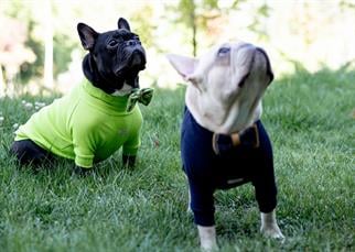 Asky and Erd Turtleneck Tshirt | Navy Köpek Sweatshirt