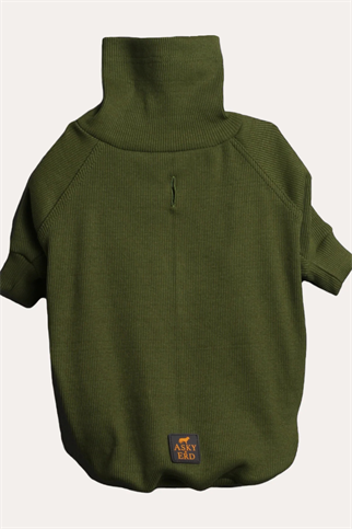 Asky and Erd Turtleneck Tshirt | Olive Köpek Sweatshirt