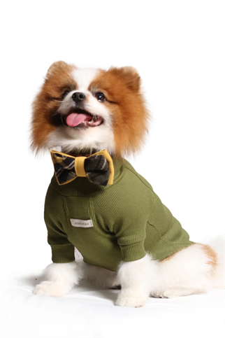 Asky and Erd Turtleneck Tshirt | Olive Köpek Sweatshirt