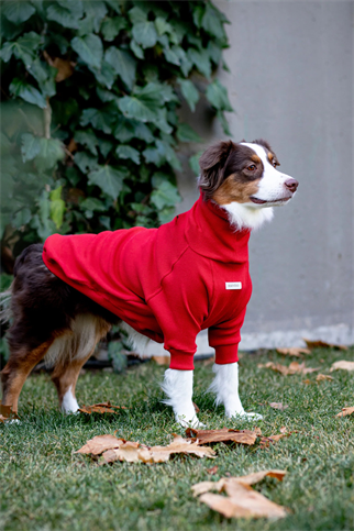 Asky and Erd Turtleneck Tshirt | Santa Red Köpek Sweatshirt