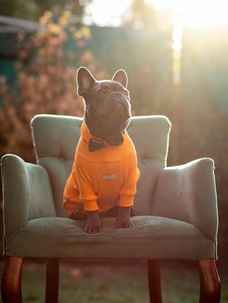 Asky and Erd Turtleneck Tshirt | Tangerine Köpek Sweatshirt