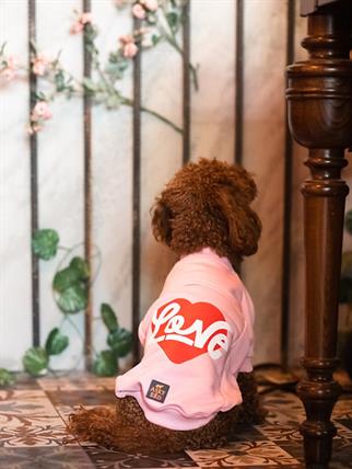 Asky and Erd Valentines Day Collection - Love Köpek Sweatshirti