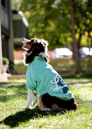 Asky and Erd Valentines Day Collection - Luck Köpek Sweatshirti