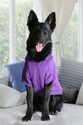 Asky Cozy Hoddie Violet Köpek