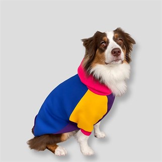 Asky Cozy Hoodie Cali Köpek