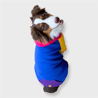 Asky Cozy Hoodie Cali Köpek