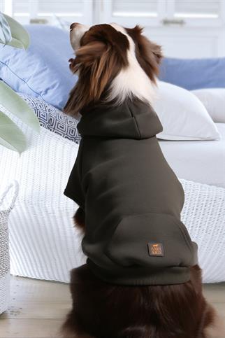 Asky Cozy Hoodie Khaki Köpek