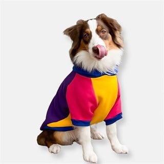 Asky Cozy Hoodie Asky Köpek