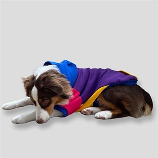 Asky Cozy Hoodie Asky Köpek