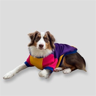 Asky Cozy Hoodie Asky Köpek