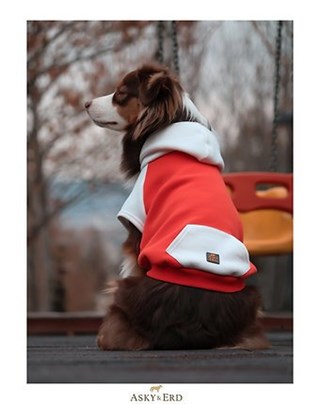 Asky Cozy Hoodie Tangerine Köpek