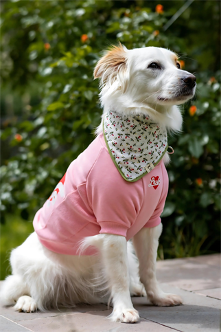 Asky&Erd Apple Blossom Bandana 