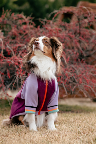 Asky&Erd Bomber Jacket | Berry Burst