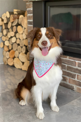 Asky&Erd Botanical Day Bandana 