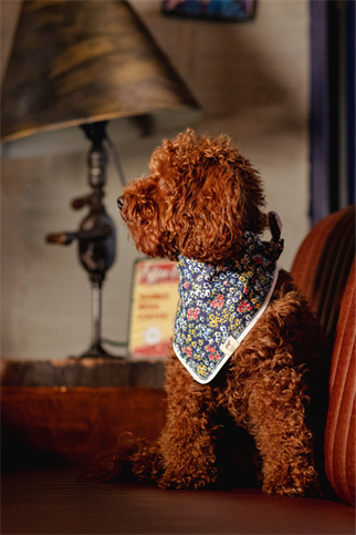 Asky&Erd Botanical Night Bandana