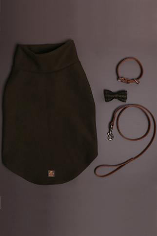 Asky & Erd Bow Tie Aspen Green Dog Papyon