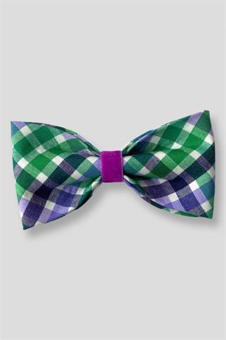 Asky & Erd Bow Tie Green Lavender Dog Papyon