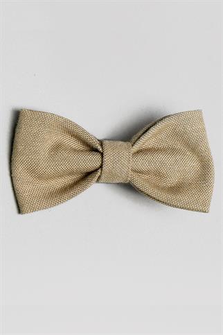 Asky & Erd Bow Tie Khaki Dog Papyon